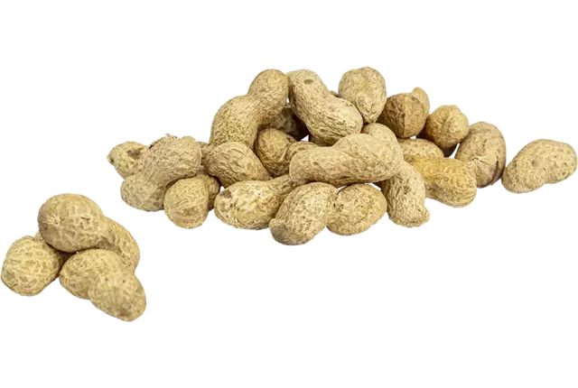 Doppinda's raw 350gr kist 8 stuks